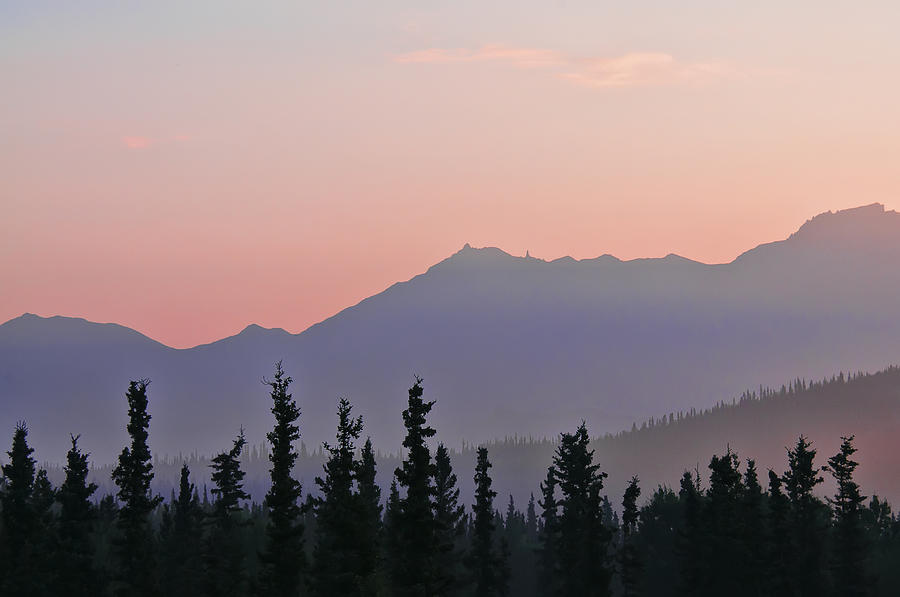 Denali Sunrise #1 Photograph by Betty Eich