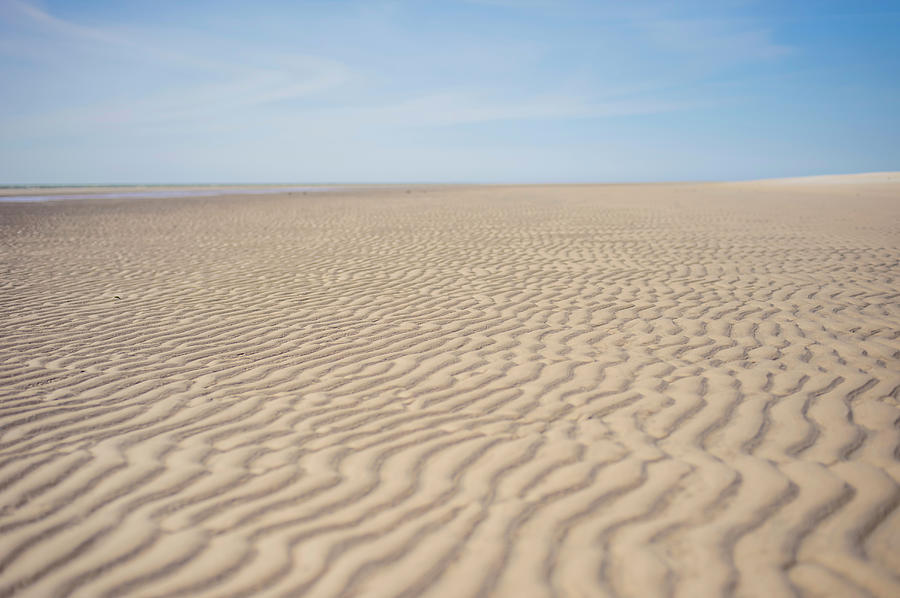 Denmark, Romo, Sand Dunes At North Sea #1 Photograph by Westend61