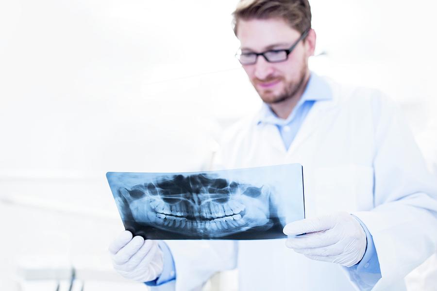 Dentist Holding X-ray Photograph by Science Photo Library - Fine Art ...