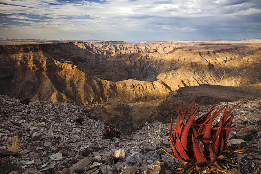 Desert And Fish River Canyon Namibia #1 Photograph by Vincent Grafhorst
