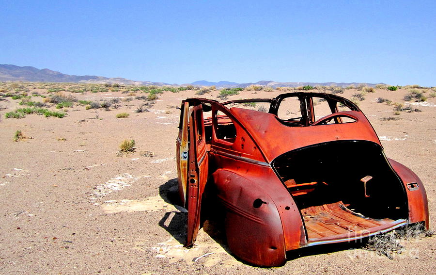 Desert Art Photograph by Marilyn Diaz - Fine Art America