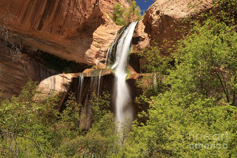 Desert Canyon Waterfall #1 Photograph by Adam Jewell