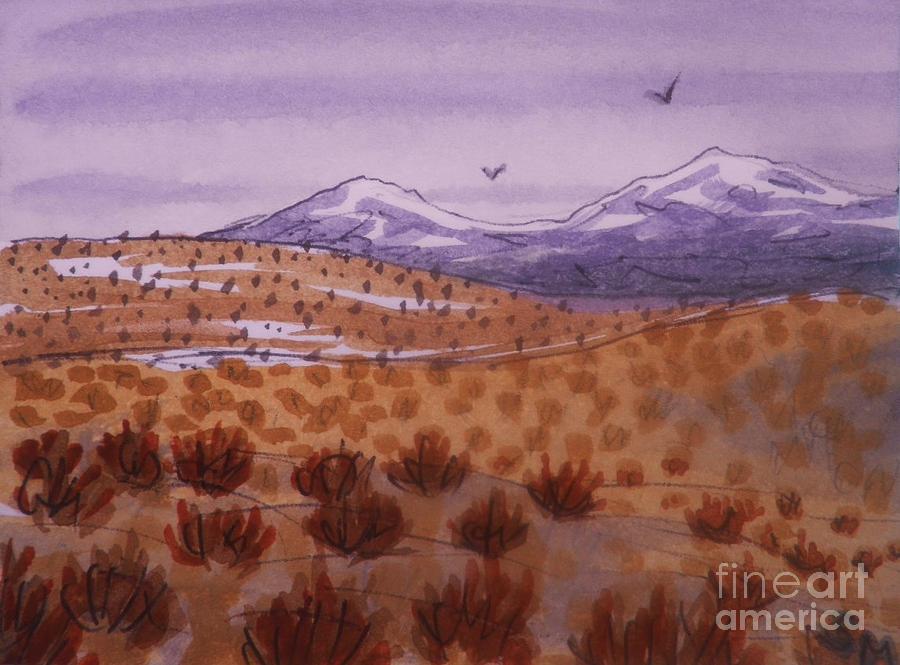 Desert Contrasts by Suzanne McKay Desert Contrasts by Suzanne McKay