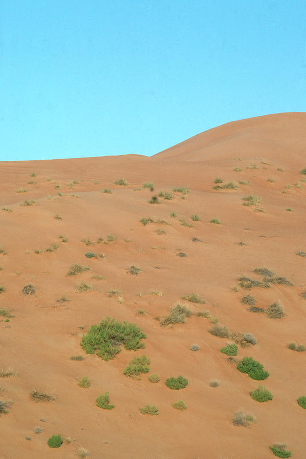 Desert In The United Arab Emirates Photograph By Ab Joyce Fine Art America