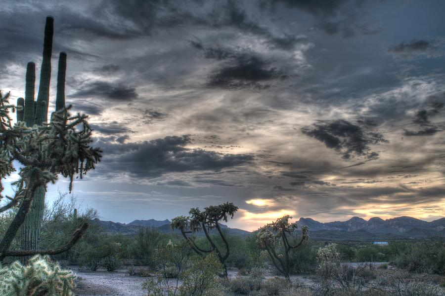 Desert Sunset #1 Photograph by Tam Ryan