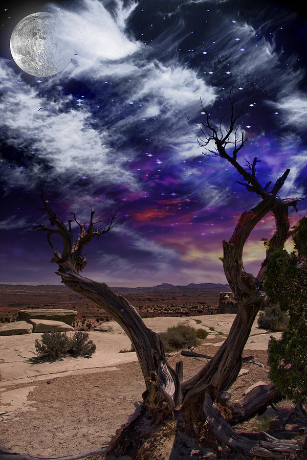 Desert Tree #1 Digital Art by Bruce Rolff