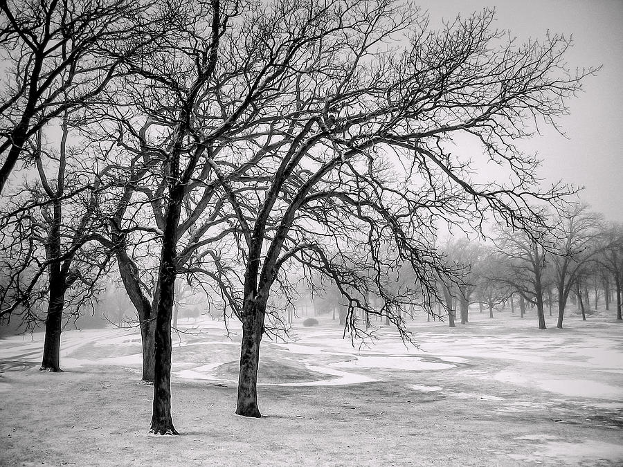 Desolate Winter 3 Photograph