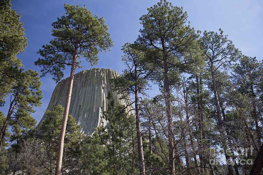 Devils Tower #1 Photograph by Jim West