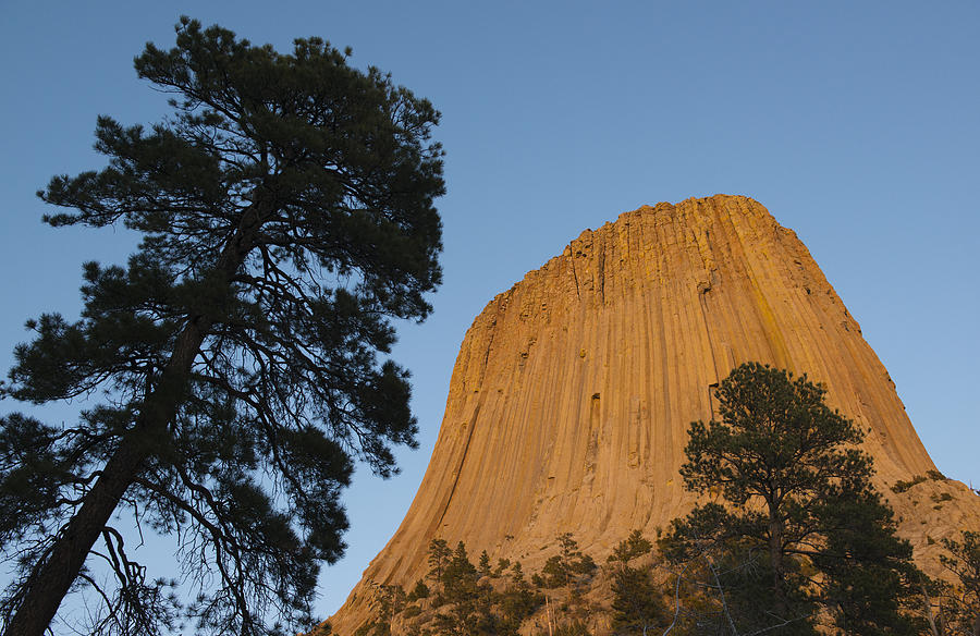 Devils Tower National Monument Wyoming #1 Photograph by Kevin Schafer