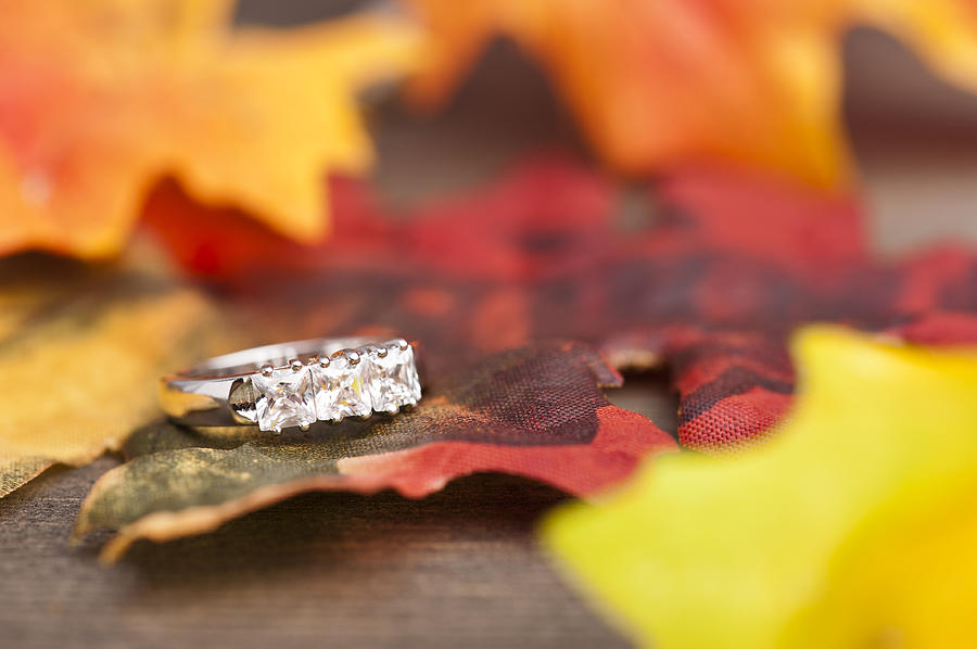 Diamond Engagement ring #1 Photograph by U Schade