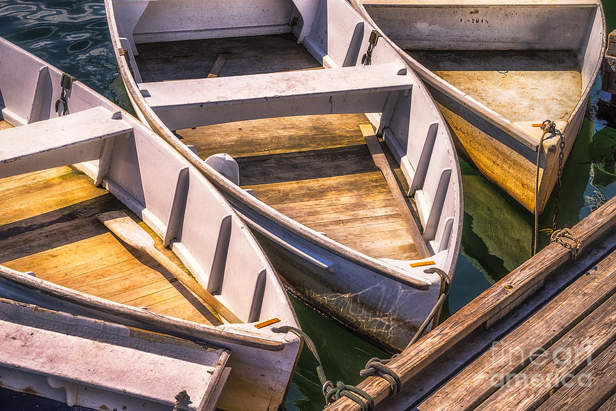 Dinghies Dockside Photograph by Jerry Fornarotto