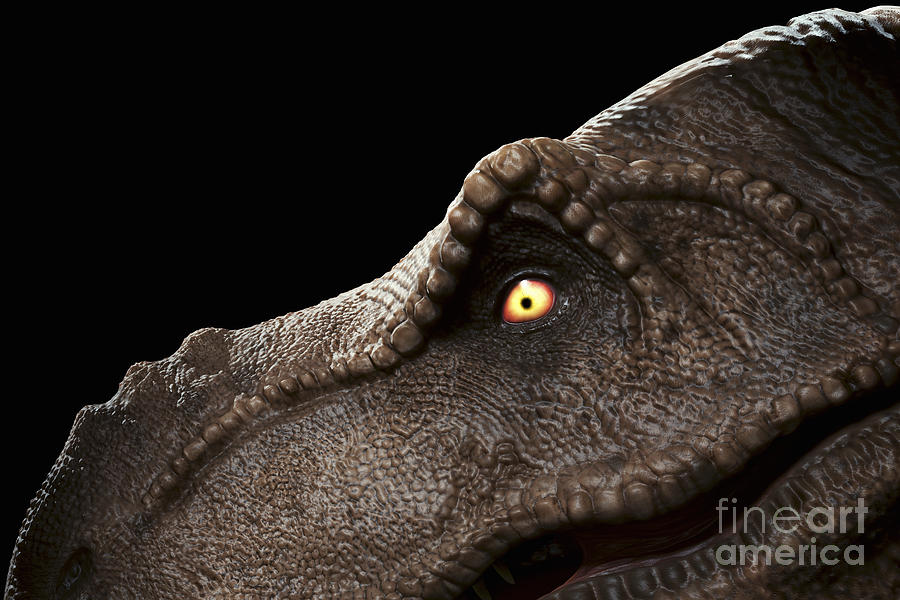Dinosaur Tyrannosaurus #1 Photograph by Science Picture Co