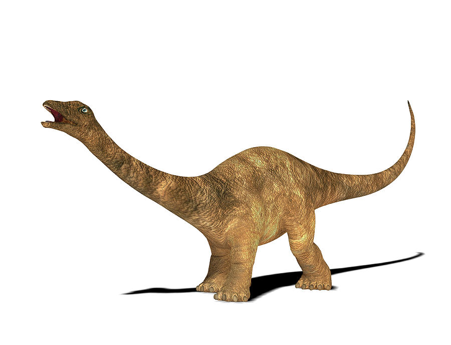 delaney diplodocus large