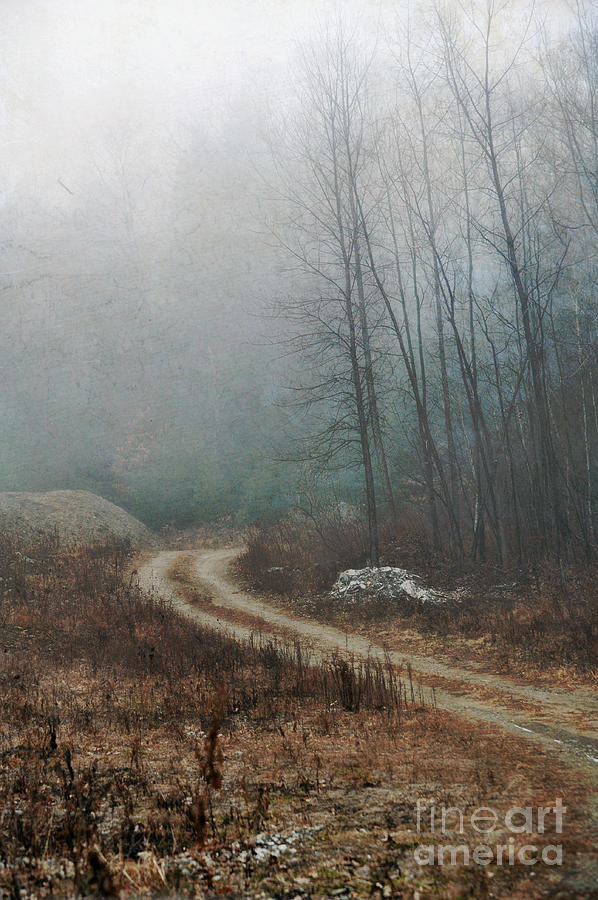 Winter Photograph - Dirt Road #1 by HD Connelly