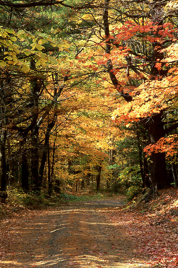 Dirt Road Photograph - Dirt Road in Autumn by Roger Soule Dirt Road Photograph - Dirt Road in Autumn by Roger Soule