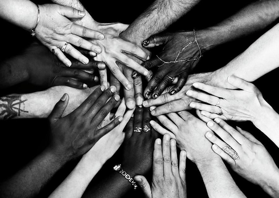 Diversity And Unity #1 Photograph by Peter Aprahamian/science Photo Library