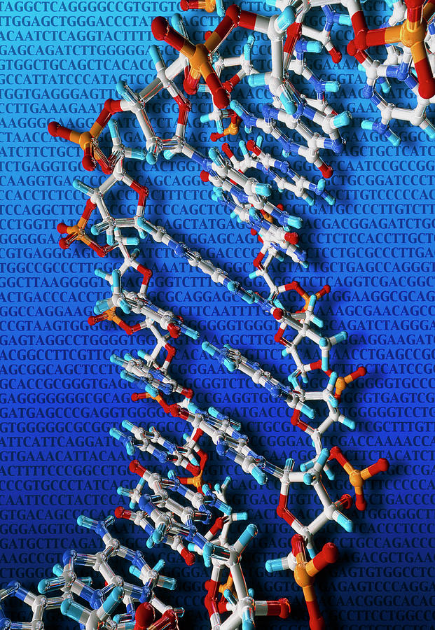 Dna Artwork #1 Photograph by Alfred Pasieka/science Photo Library