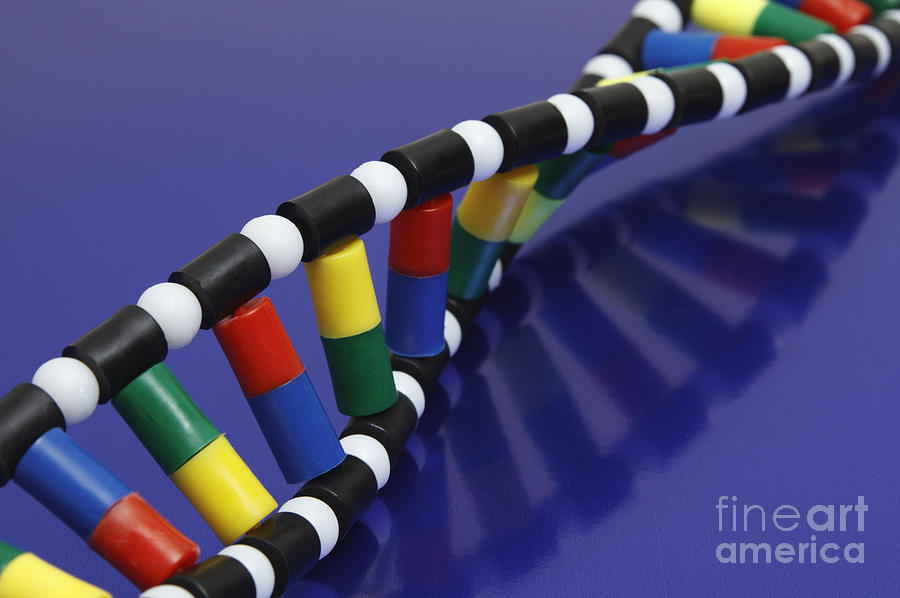 Dna Double Helix #1 Photograph by GIPhotoStock