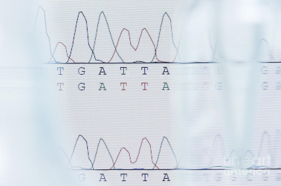 Dna Photograph - Dna Sequencing #1 by GIPhotoStock