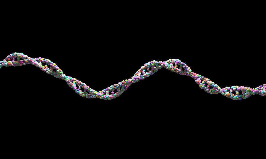 Hãy khám phá những bí mật của cuộc đời thông qua sợi ADN. Hình ảnh về bộ gen và những chuỗi phức tạp sẽ cho bạn cái nhìn mới về sự sống và nâng cao kiến thức khoa học của bạn.
