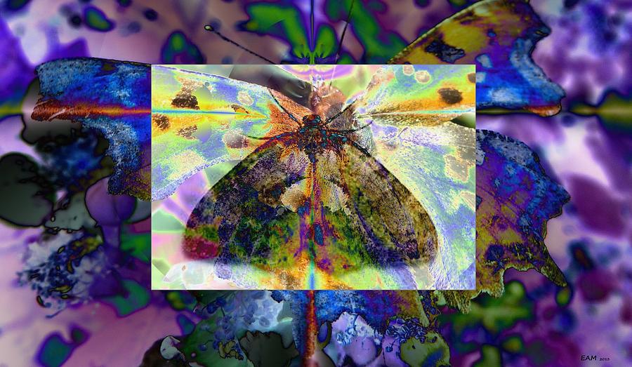 Do Moths Dream of Becoming Butterflies? #1 Digital Art by Elizabeth McTaggart