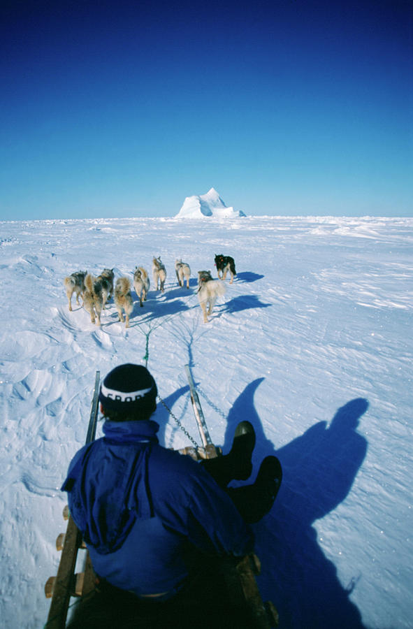 Dog Sledding Photograph by Simon Fraser/science Photo Library - Fine ...