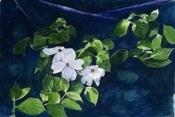 Flower Painting - Dogwood by Carol Oberg Riley
