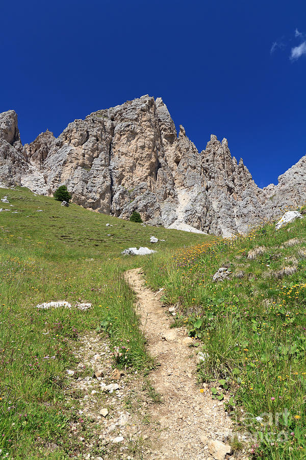 Dolomites - Gran Cir #1 Photograph by Antonio Scarpi
