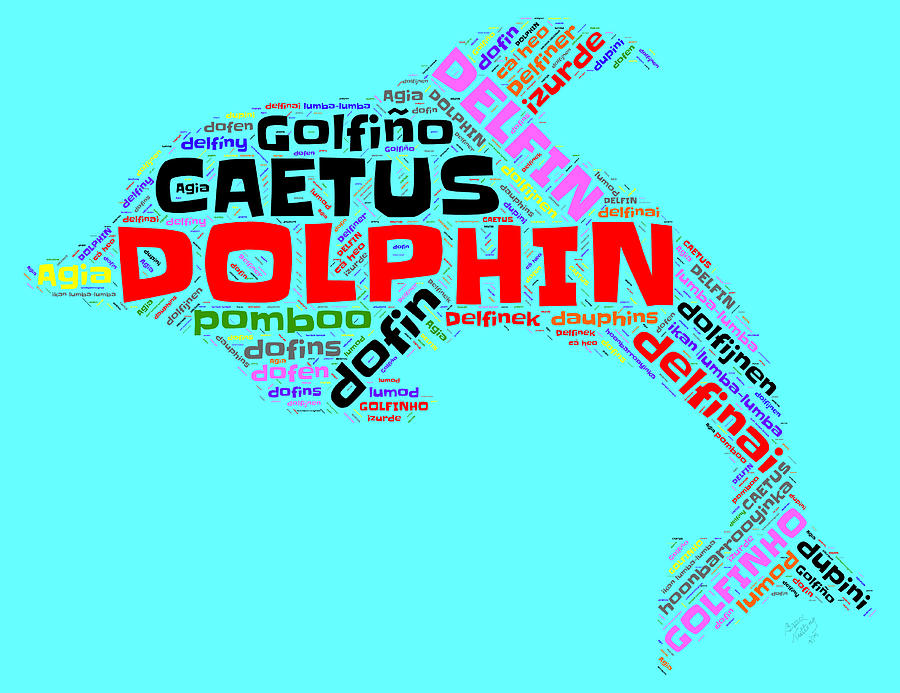 Dolphin Word Cloud #1 Painting by Bruce Nutting