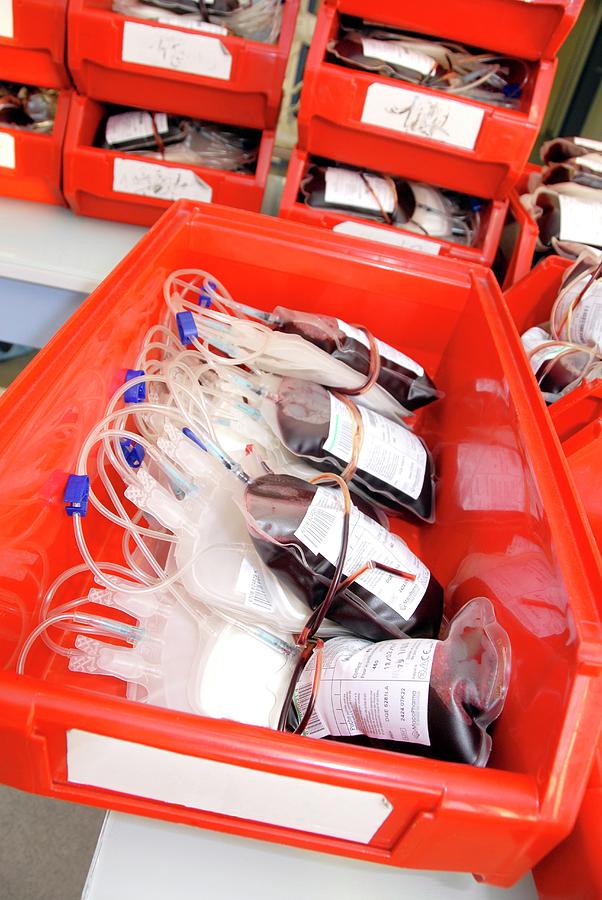 Equipment Photograph - Donated Blood Bags #1 by Aj Photo/science Photo Library