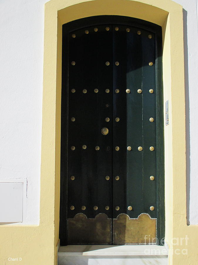 Door in Jerez #3 Photograph by Chani Demuijlder