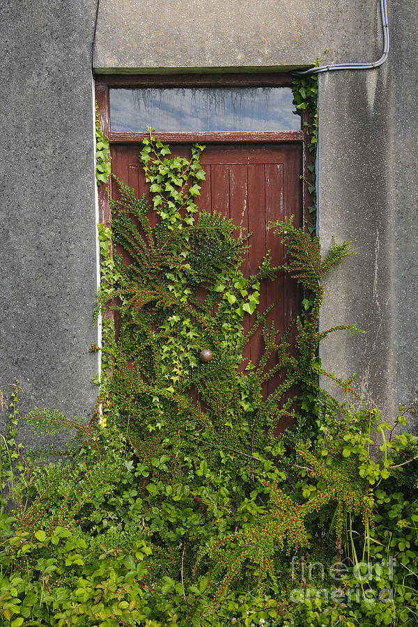Door Of Old House #1 Photograph by John Shaw