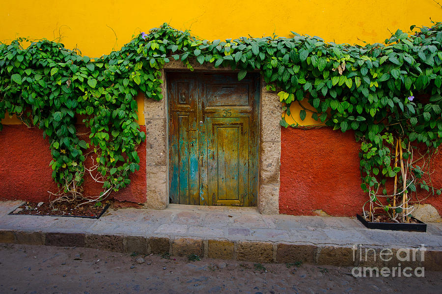 Doorway in Mexico Photograph by John Shaw