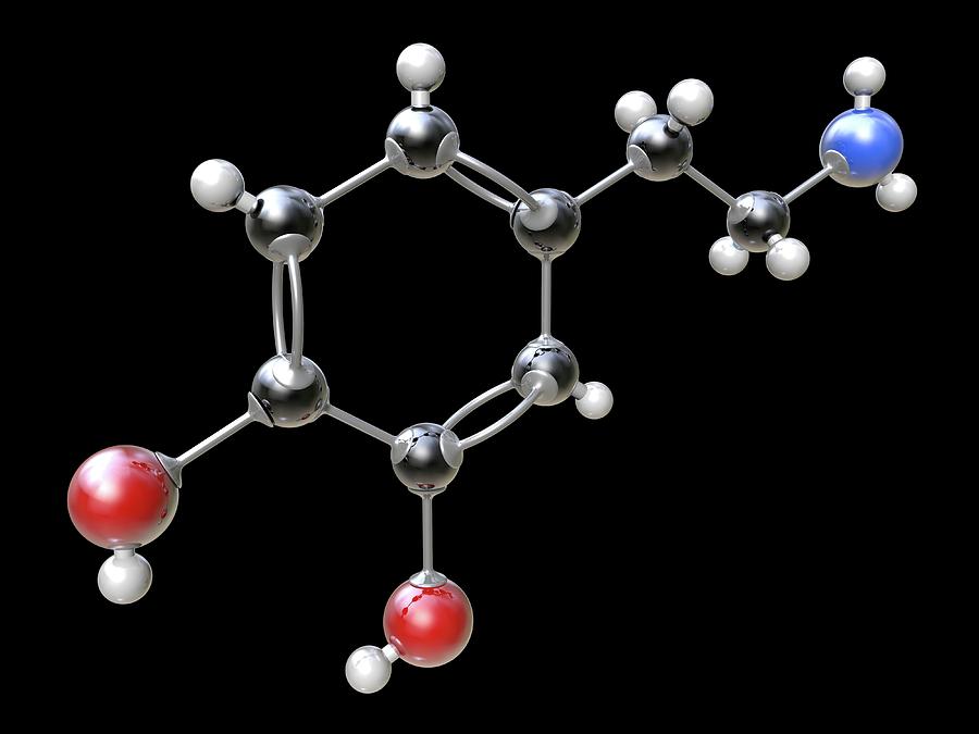 Молекула дофамина картинки