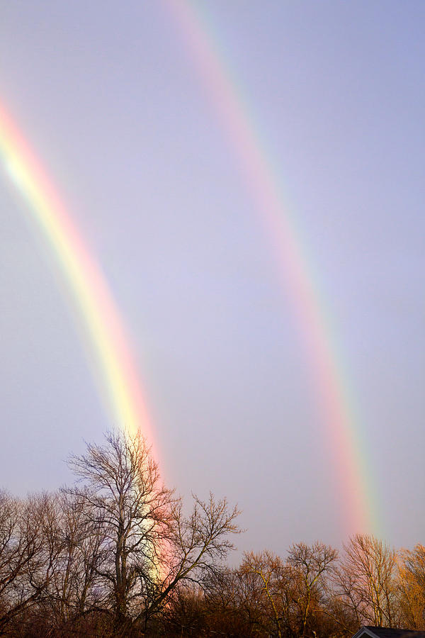 Double Rainbow #1 Photograph by Courtney Webster