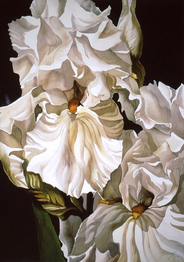 Double White Iris #1 Painting by Alfred Ng
