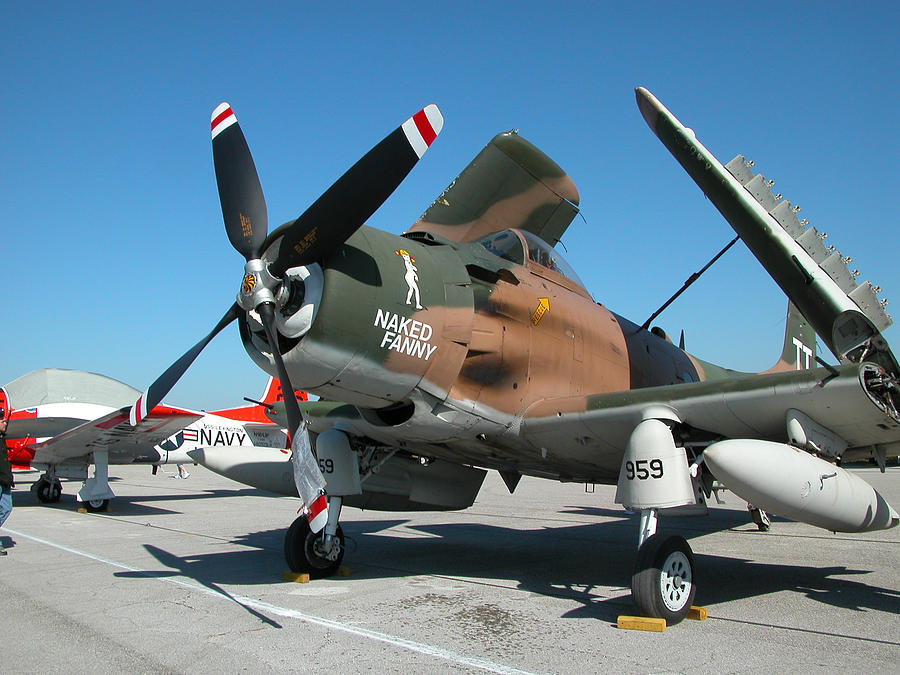 Douglas Sky Raider Naked Fanny Photograph By Richard Sherman Fine Art America