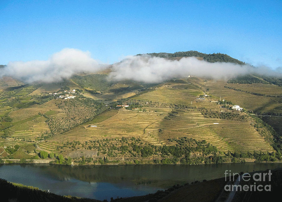 Douro River Valley #1 Photograph by Arlene Carmel
