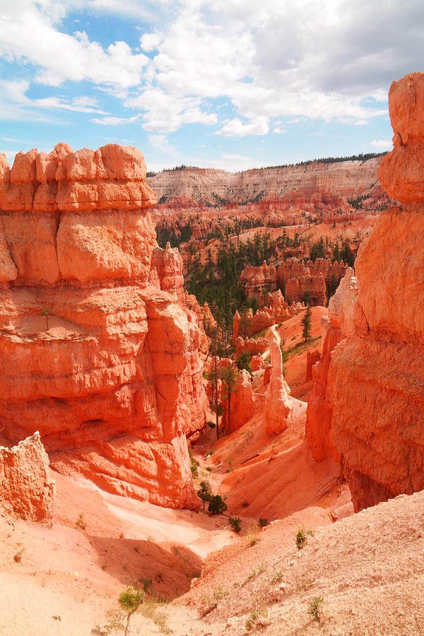 Down into Bryce #2 Photograph by Jeff Swan