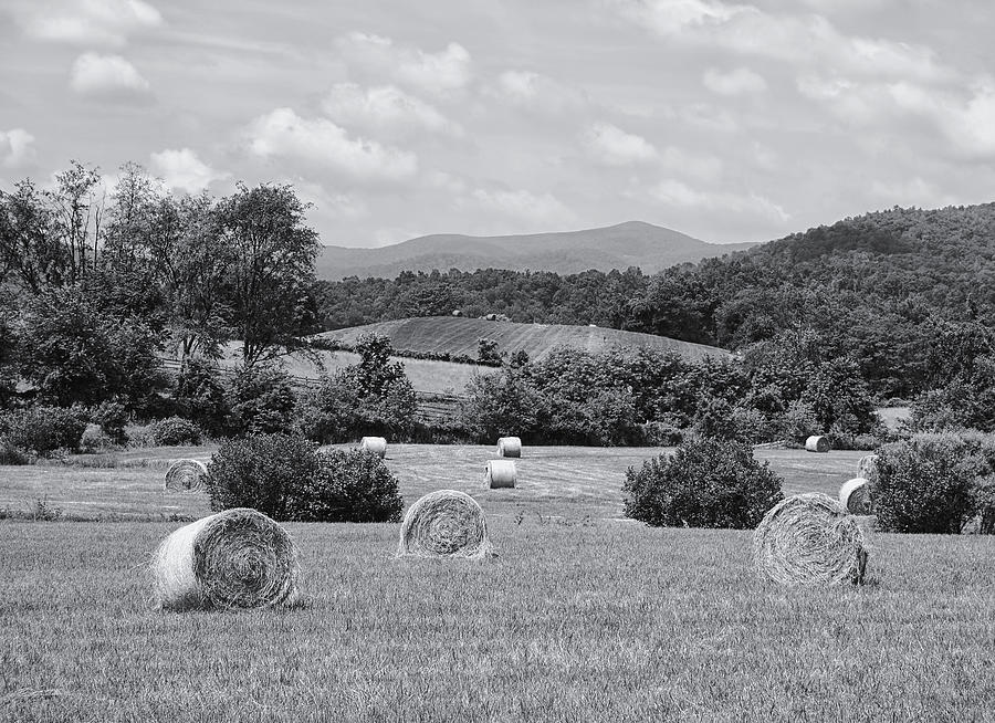 Black And White Photograph - Down on the Farm #2 by Kim Hojnacki