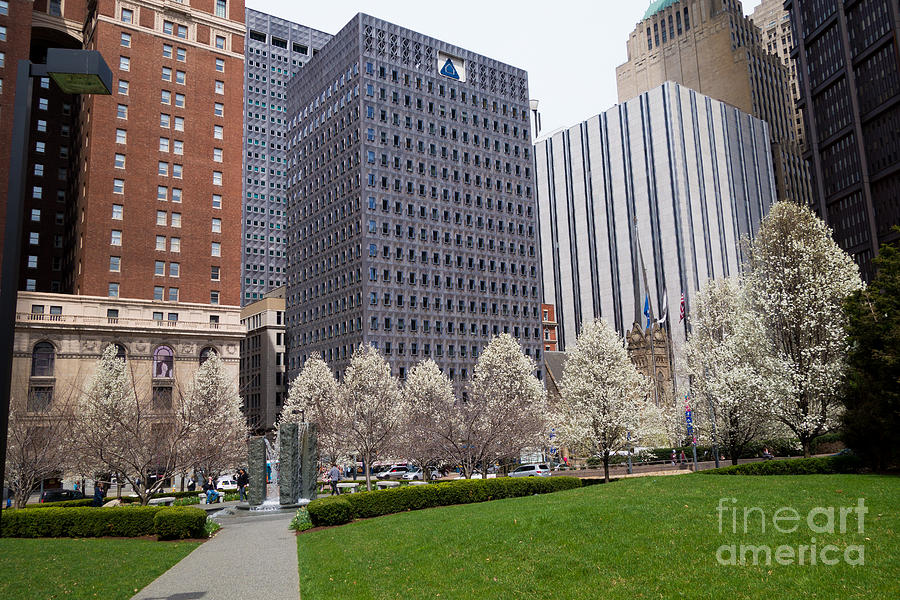 Downtown Pittsburgh in the Spring #1 Photograph by Amy Cicconi