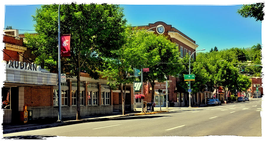 Washington State University Photograph - Downtown Pullman Washington #1 by David Patterson