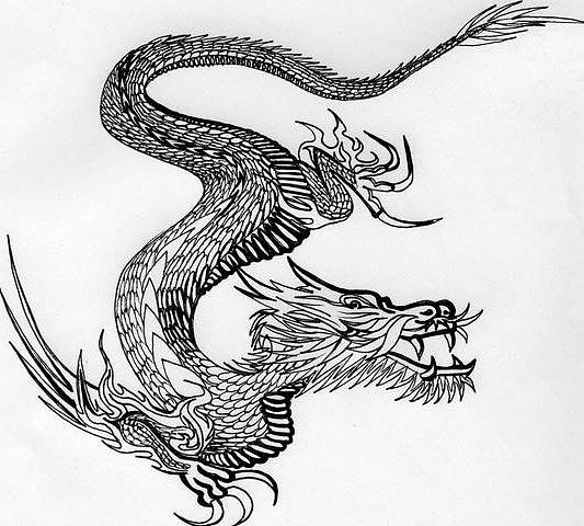 Dragon Drawing by Jesse Harris - Fine Art America