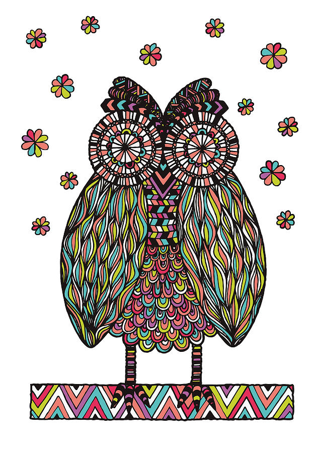 Owl Photograph - Dream Owl #1 by MGL Meiklejohn Graphics Licensing