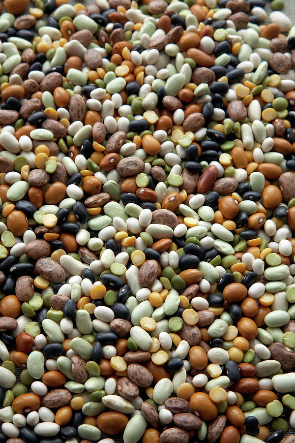 Dried Pulses #1 Photograph by Claudia Dulak / Science Photo Library ...