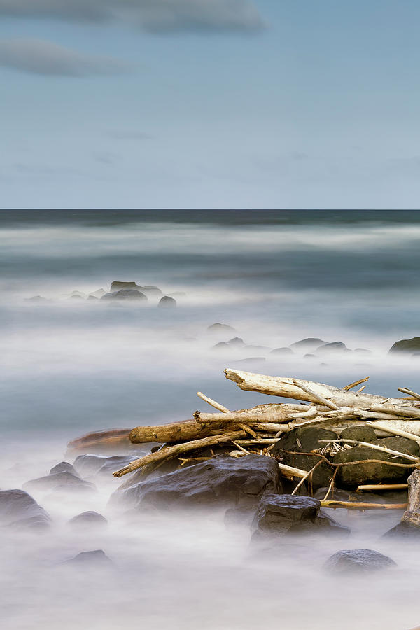 Driftwood And Rocks Along The Coast #1 Photograph by Ian Ludwig
