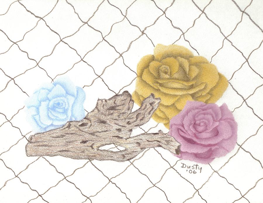 Driftwood And Roses Drawing By Dusty Reed