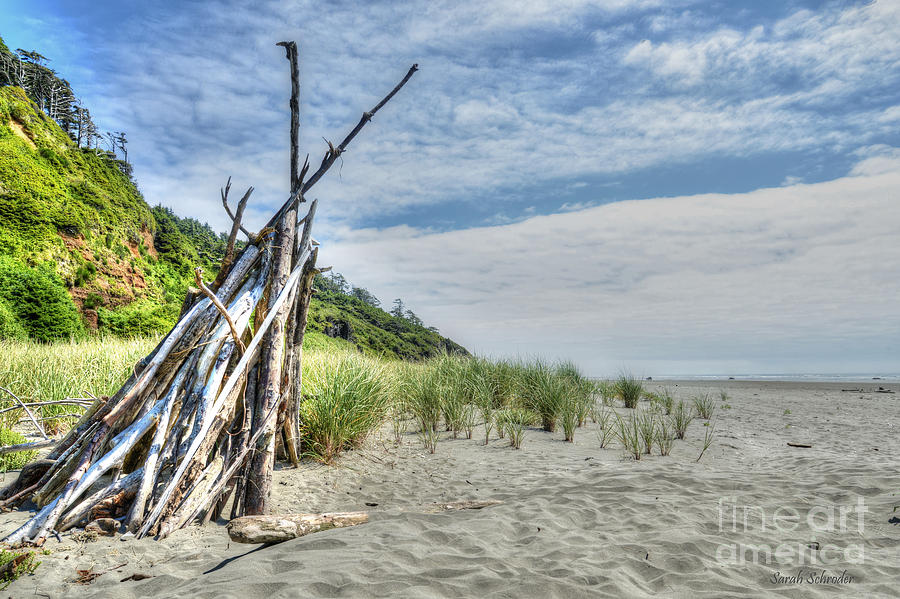 Driftwood Lookout Photograph by Sarah Schroder - Fine Art America