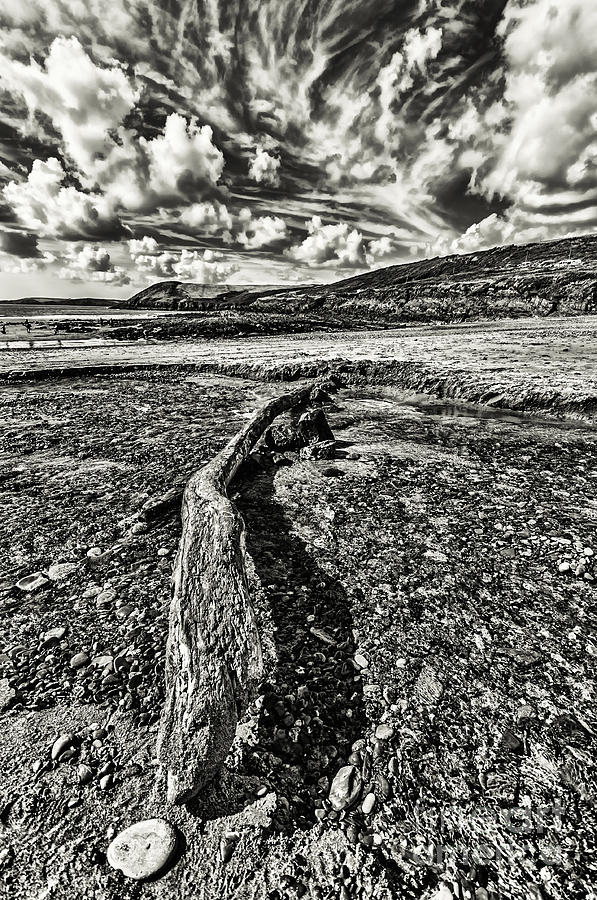 Driftwood Mono #2 Photograph by Steve Purnell