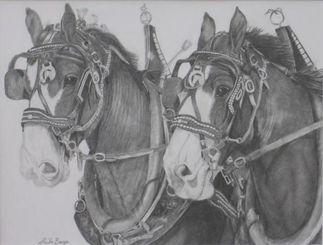 Driving Horses #1 Drawing by Sheila Banga